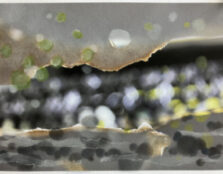 Oasis_027_15X20_web