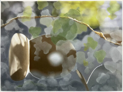 Oasis_030_30x40_web