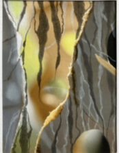 Oasis_033_20x15_web