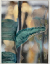 Oasis_034_20x15_web